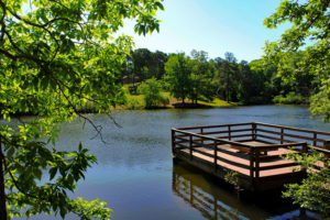 boat dock builder